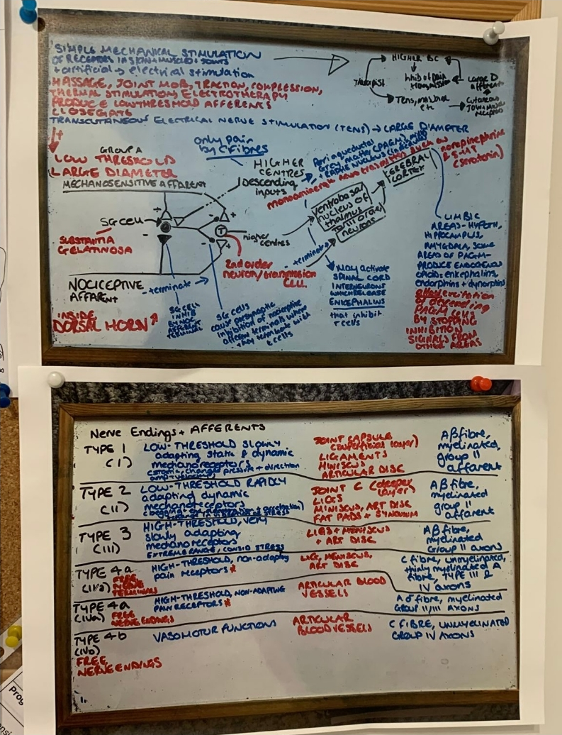 Student wall study notes